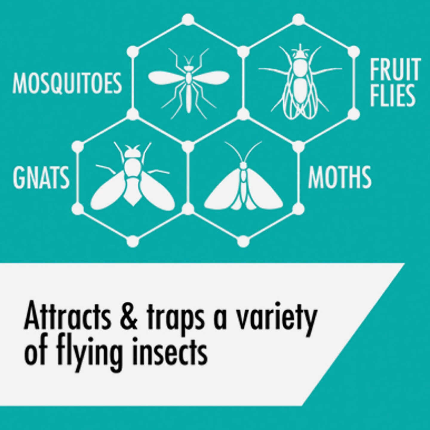 Stem Reusable Indoor Flying Insects Light Trap Starter Kit Image 3