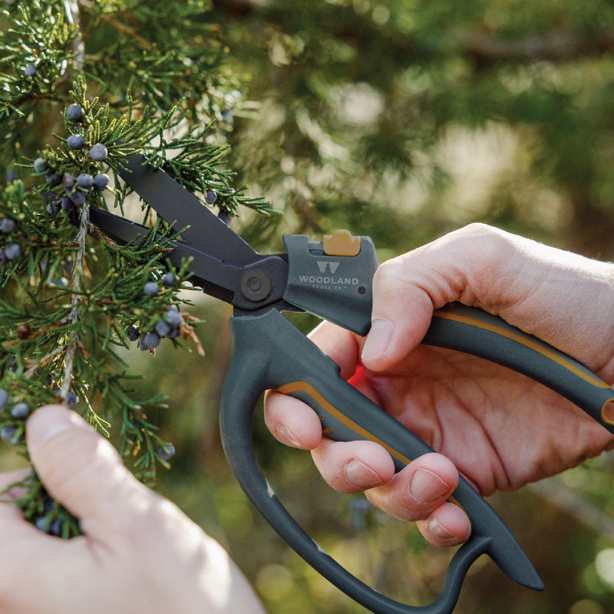 Woodland 9 In. Super Duty Multi-Use Utility Snip Image 2