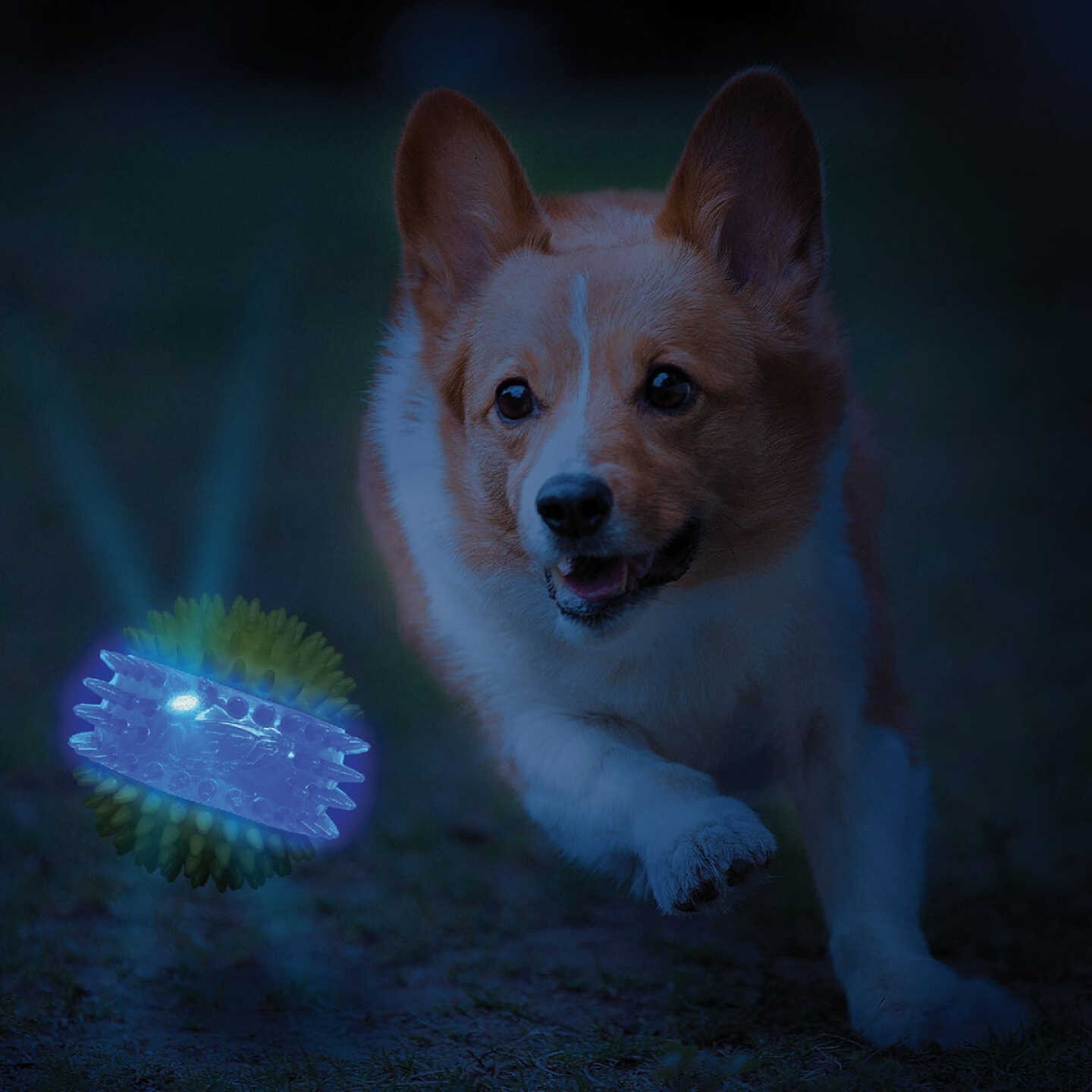 Nerf Dog 2.7 In. Translucent TPR 3-Part Spike LED & Squeak Ball Image 3