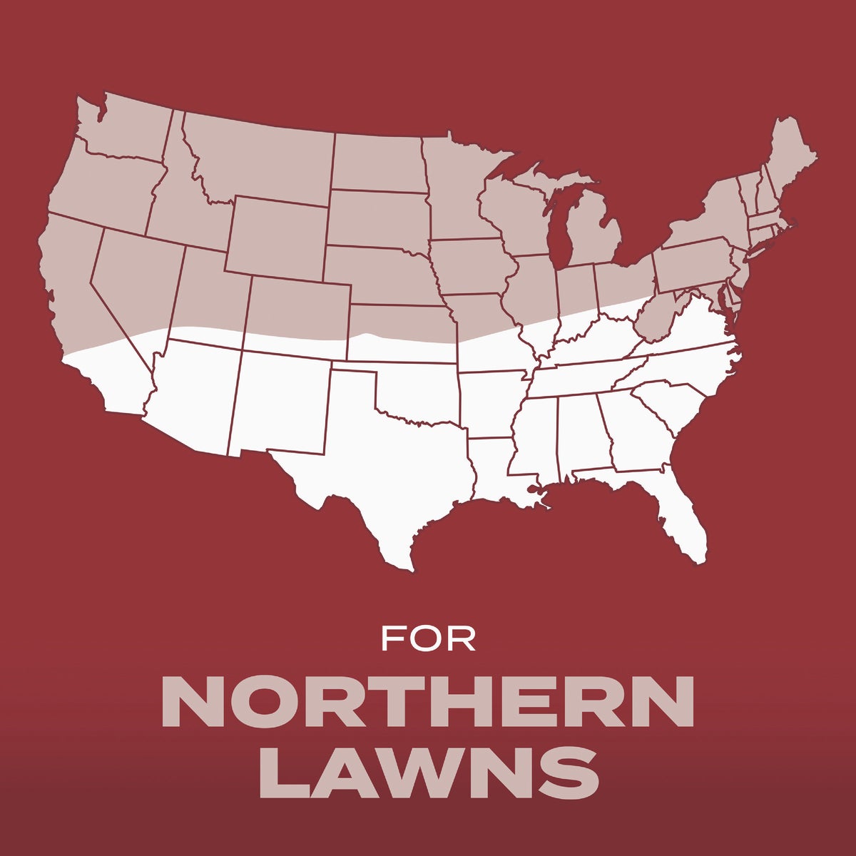 Scotts Turf Builder 2.4 Lb. 200 Sq. Ft. Sunny Mix Grass Seed, Fertilizer, and Soil Improver Combination Image 6