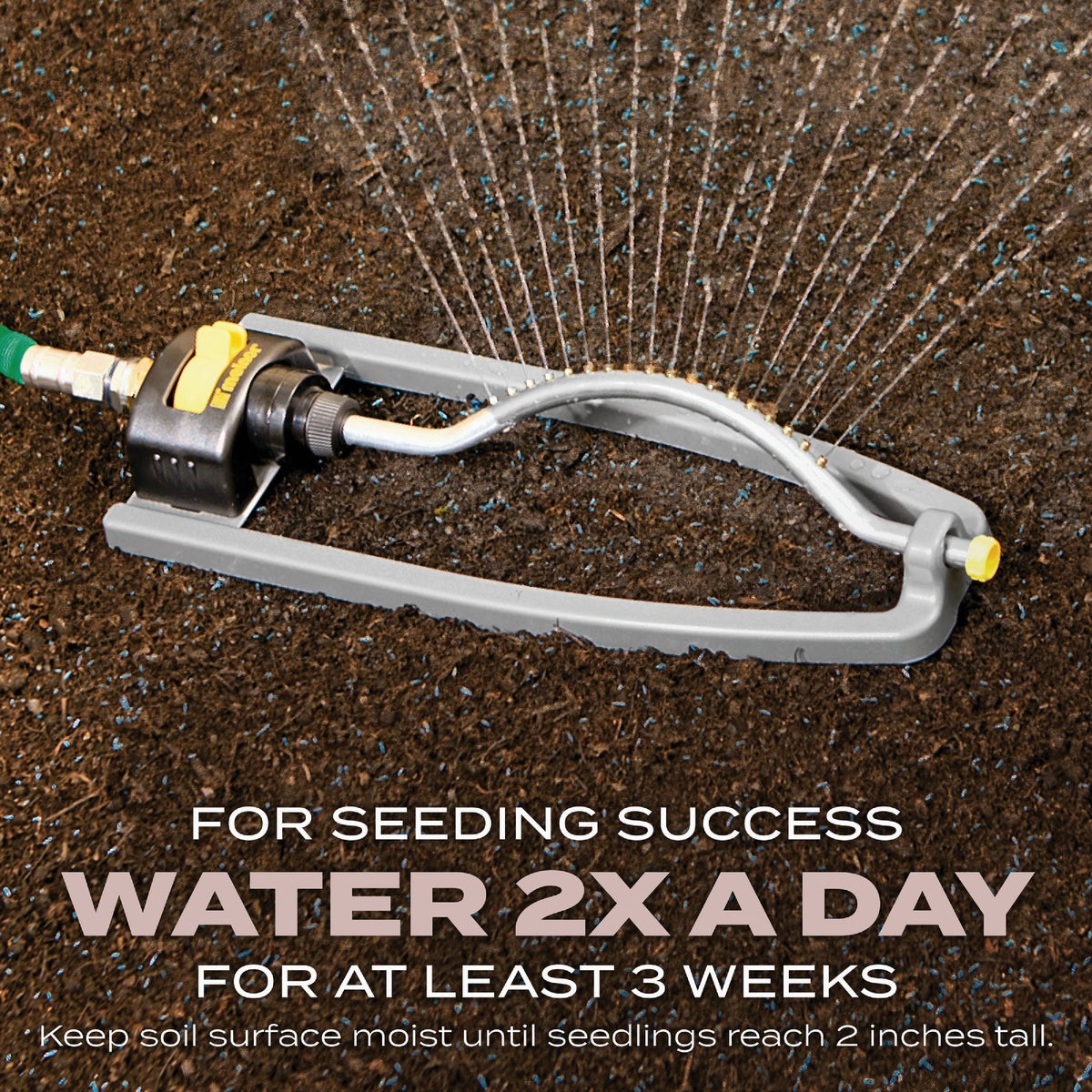 Scotts Turf Builder 2.4 Lb. 200 Sq. Ft. Sunny Mix Grass Seed, Fertilizer, and Soil Improver Combination Image 7