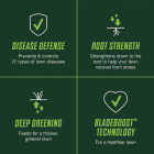 Scotts Turf Builder 8000 Sq. Ft. 27.40 Lb. Fungicide & Lawn Food Image 4