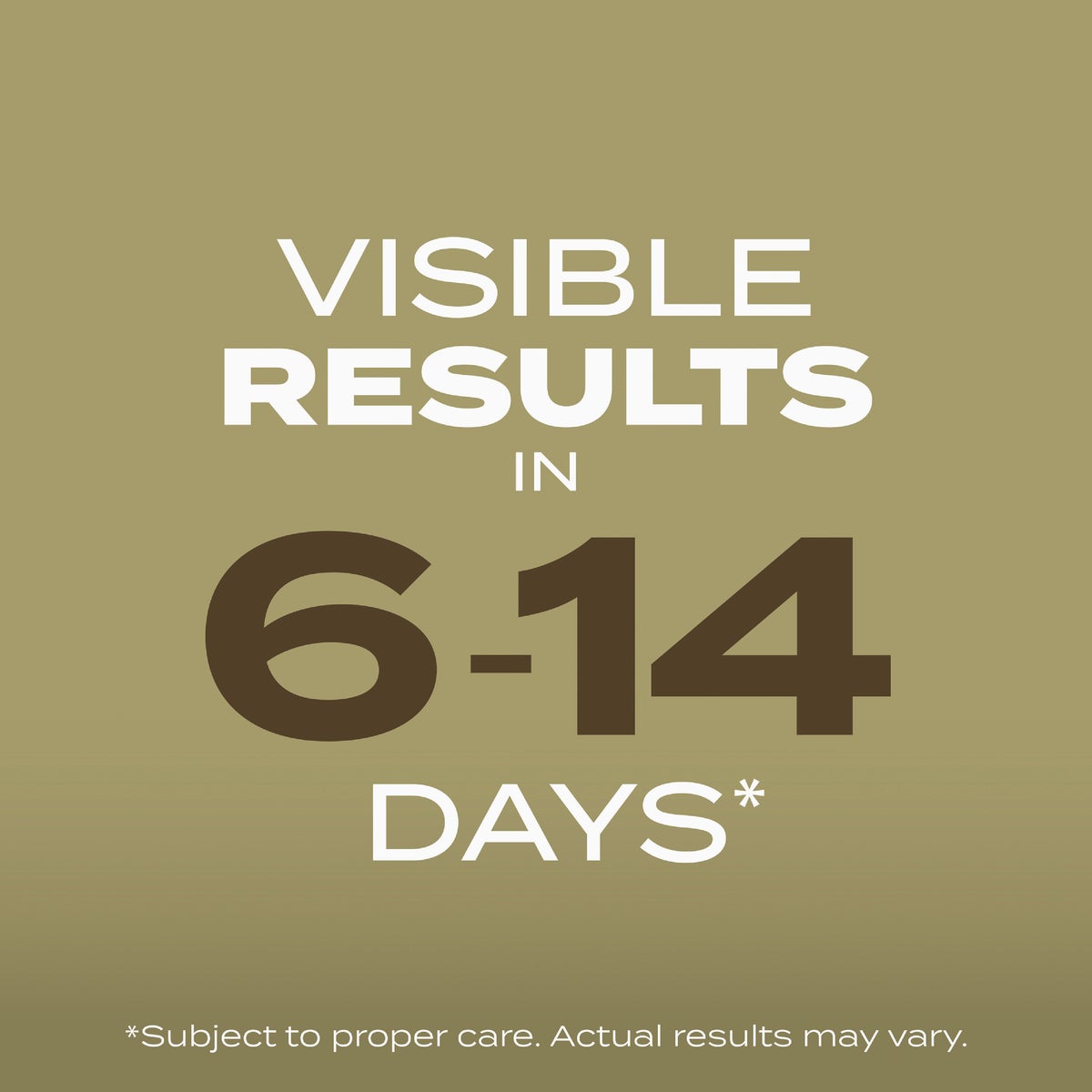 Scotts Turf Builder 5.6 Lb. 1400 Sq. Ft. Southern Gold Mix Grass Seed for Tall Fescue Lawns Image 4