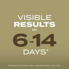 Scotts Turf Builder 5.6 Lb. 1400 Sq. Ft. Southern Gold Mix Grass Seed for Tall Fescue Lawns Image 4