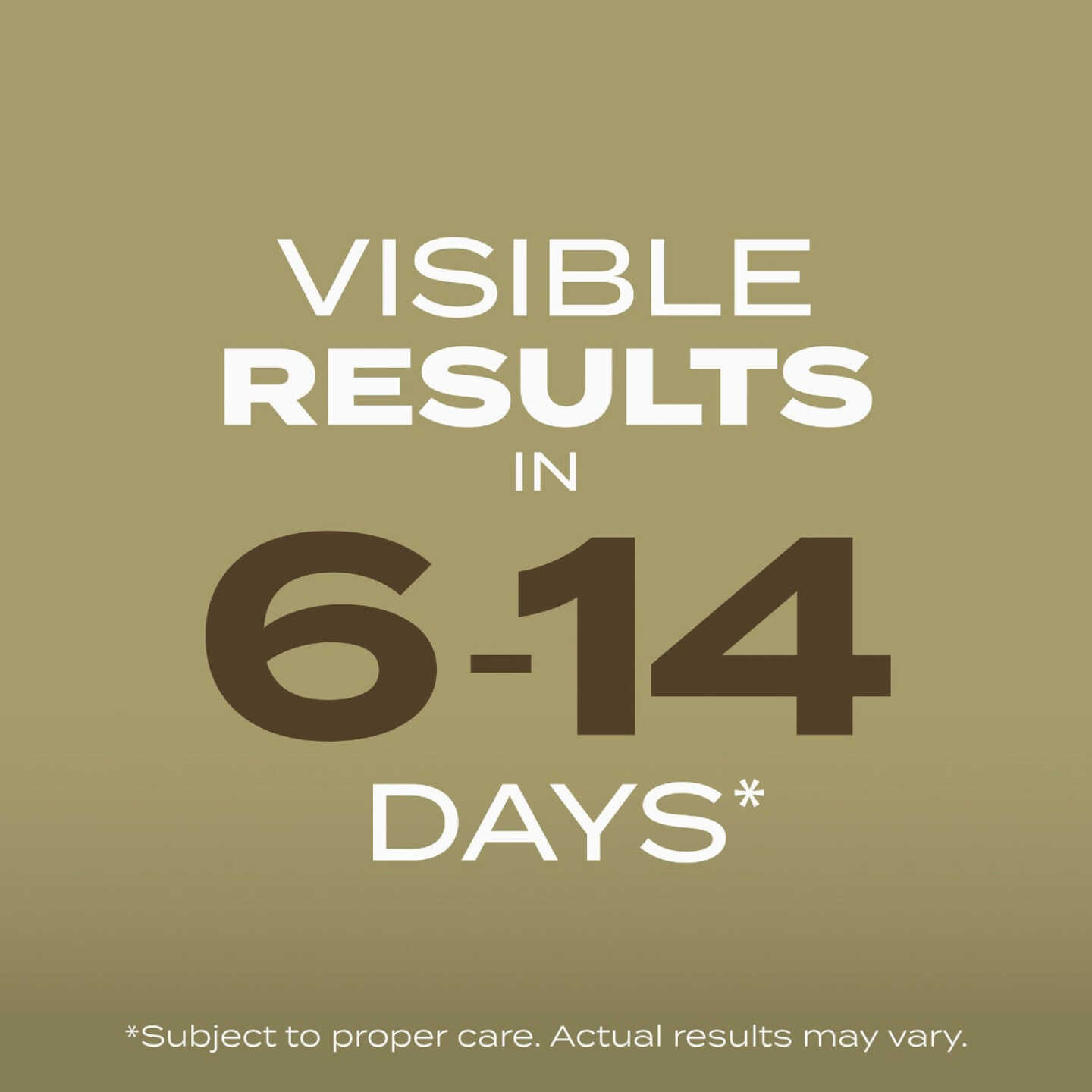 Scotts Turf Builder 5.6 Lb. 1400 Sq. Ft. Southern Gold Mix Grass Seed for Tall Fescue Lawns Image 4