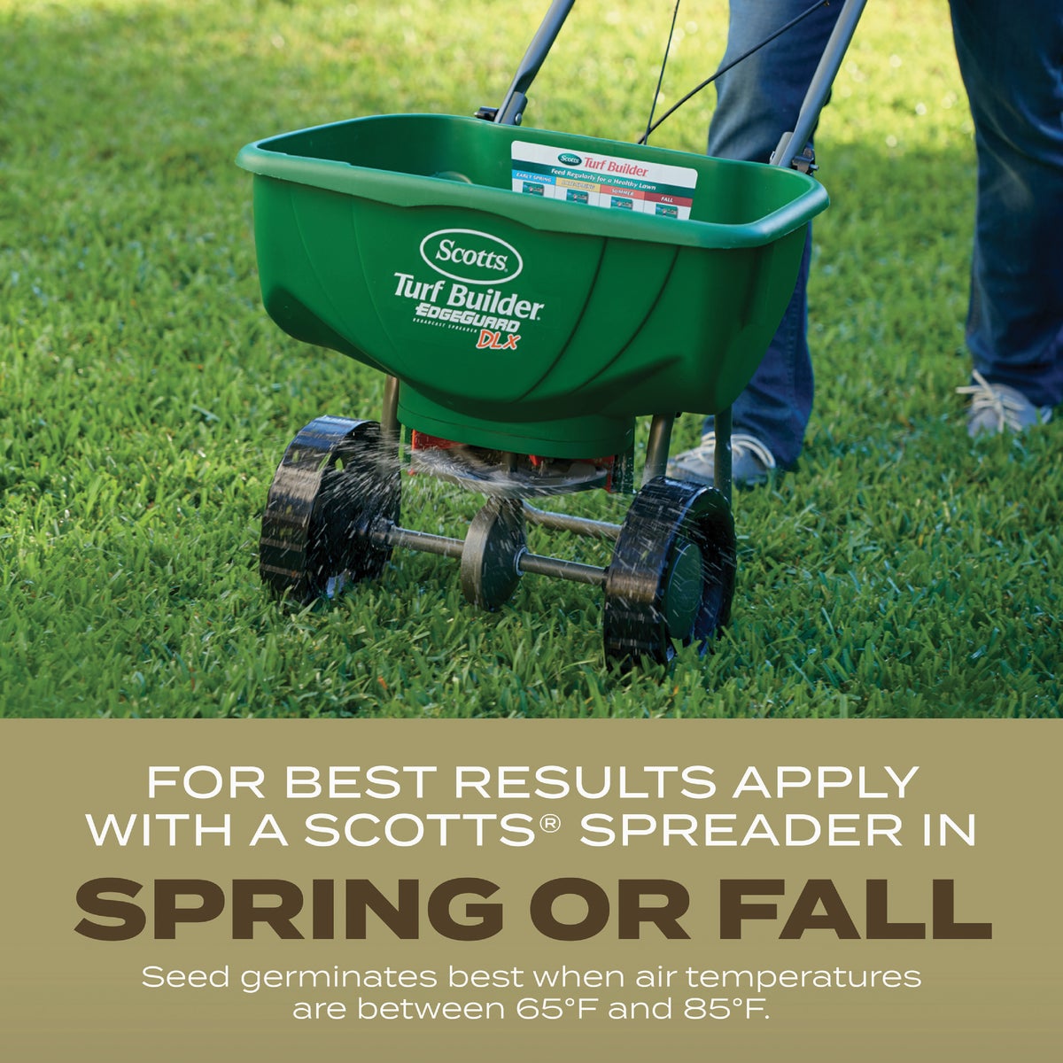 Scotts Turf Builder 5.6 Lb. 1400 Sq. Ft. Southern Gold Mix Grass Seed for Tall Fescue Lawns Image 5