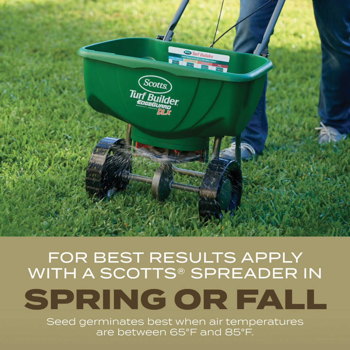 Scotts Turf Builder 5.6 Lb. 1400 Sq. Ft. Southern Gold Mix Grass Seed for Tall Fescue Lawns Image 5