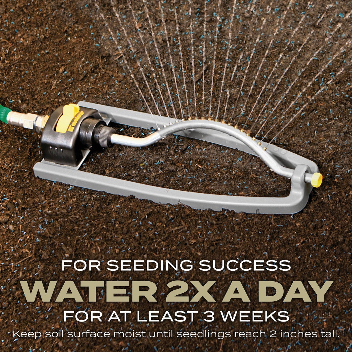 Scotts Turf Builder 5.6 Lb. 1400 Sq. Ft. Southern Gold Mix Grass Seed for Tall Fescue Lawns Image 7