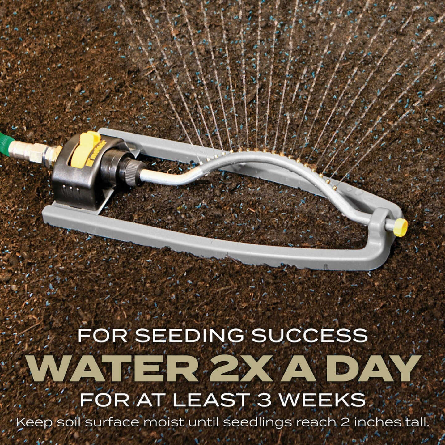 Scotts Turf Builder 5.6 Lb. 1400 Sq. Ft. Southern Gold Mix Grass Seed for Tall Fescue Lawns Image 7