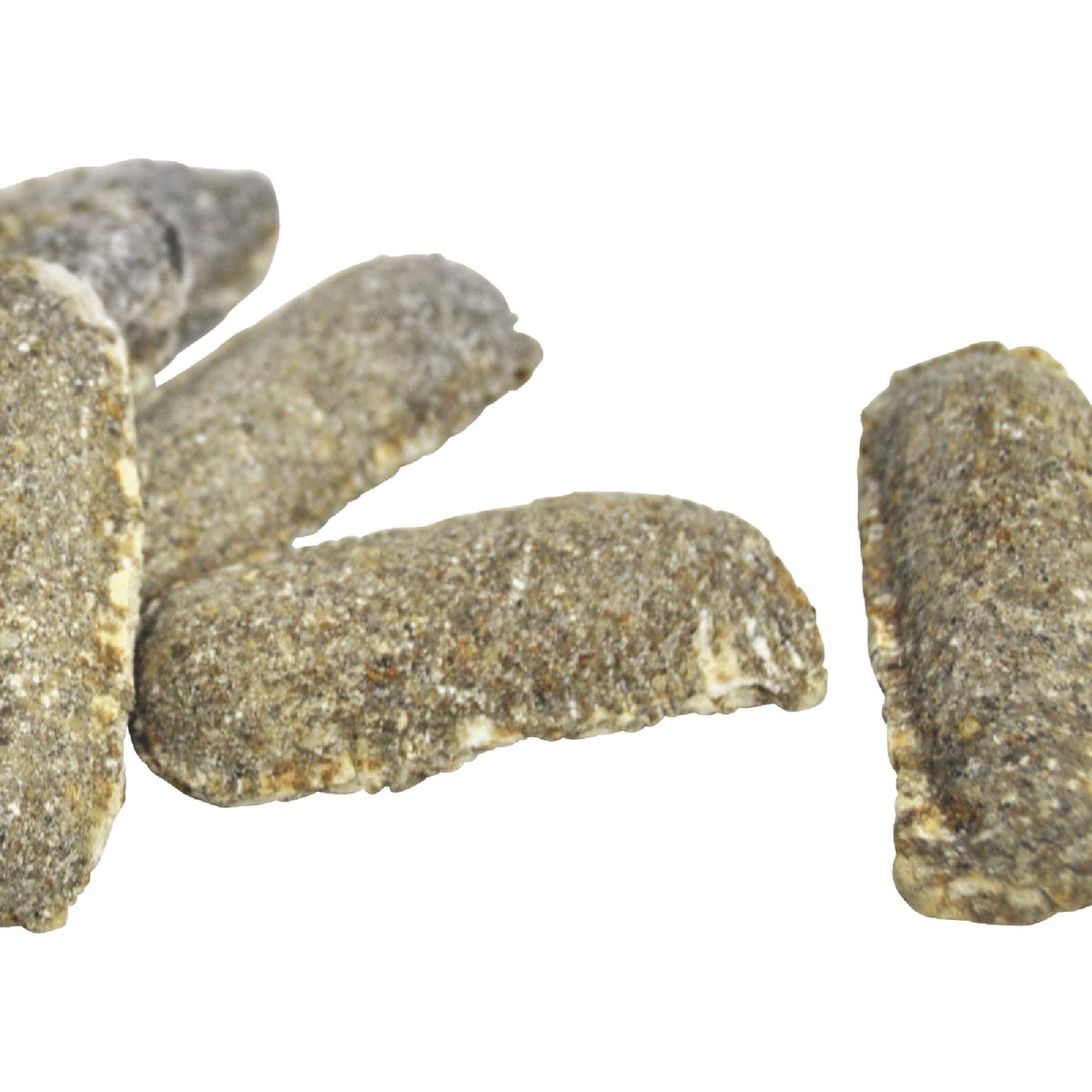 Jobe's Organics For Bountiful Succulents (12-Pack) Image 6