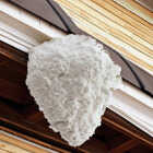 Raid Max 16.5 Oz. Foam Wasp & Hornet Killer Image 5