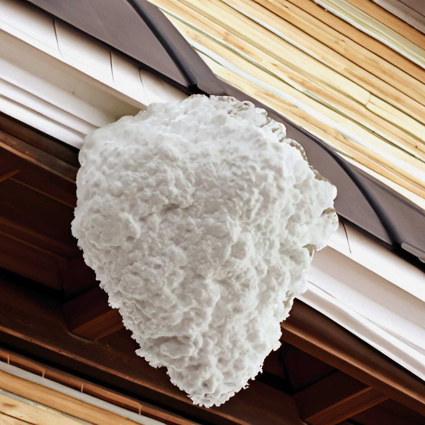 Raid Max 16.5 Oz. Foam Wasp & Hornet Killer Image 5