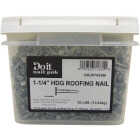 Do it Best 1-1/4 In. 11 ga Hot Galvanized Roofing Nails (6300 Ct., 30 Lb.) Image 2