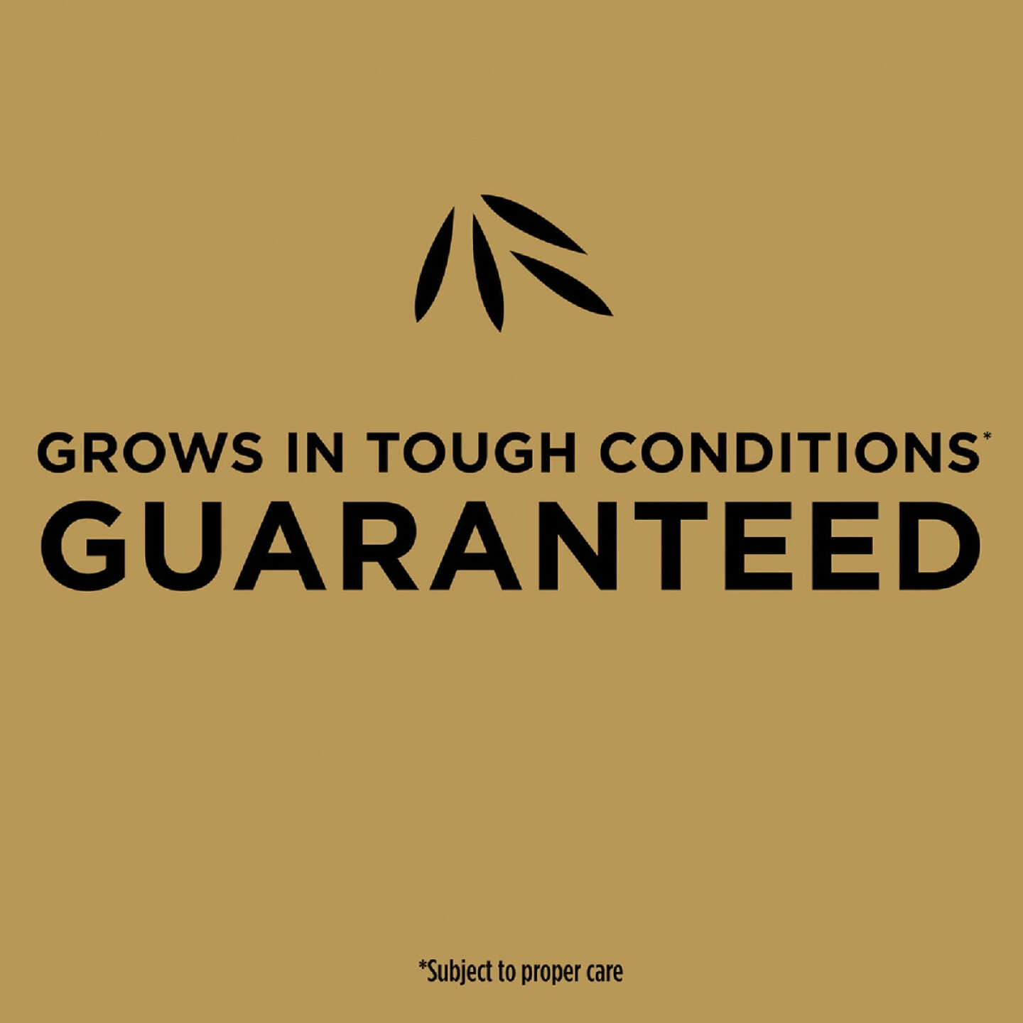 Scotts EZ Seed 10 Lb. 225 Sq. Ft. Patch & Repair for Bermudagrass Mulch, Seed and Fertilizer Combination Image 3