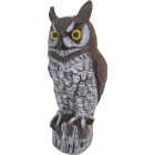 Gardeneer Natural Enemy Scarecrow 16 In. H. Owl Pest Deterrent Decoy Image 1