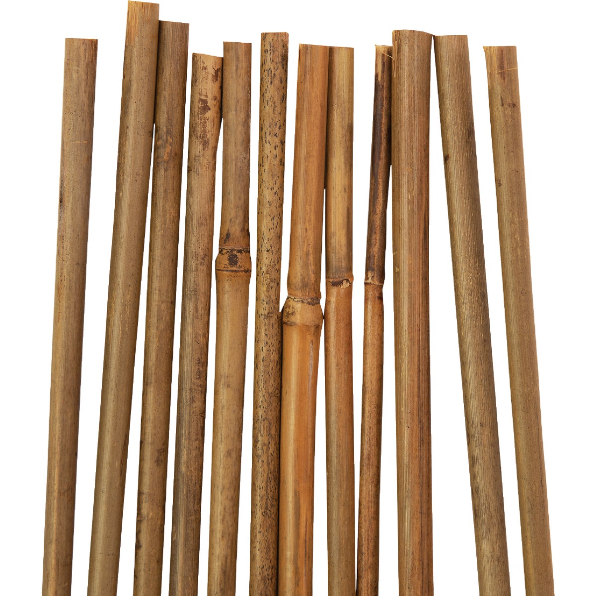 Gardener's Blue Ribbon 4 Ft. Bamboo Plant Stake (12-Pack) Image 3