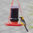 Perky-Pet 32 Oz. Plastic Jelly Jar Oriole Feeder Image 2