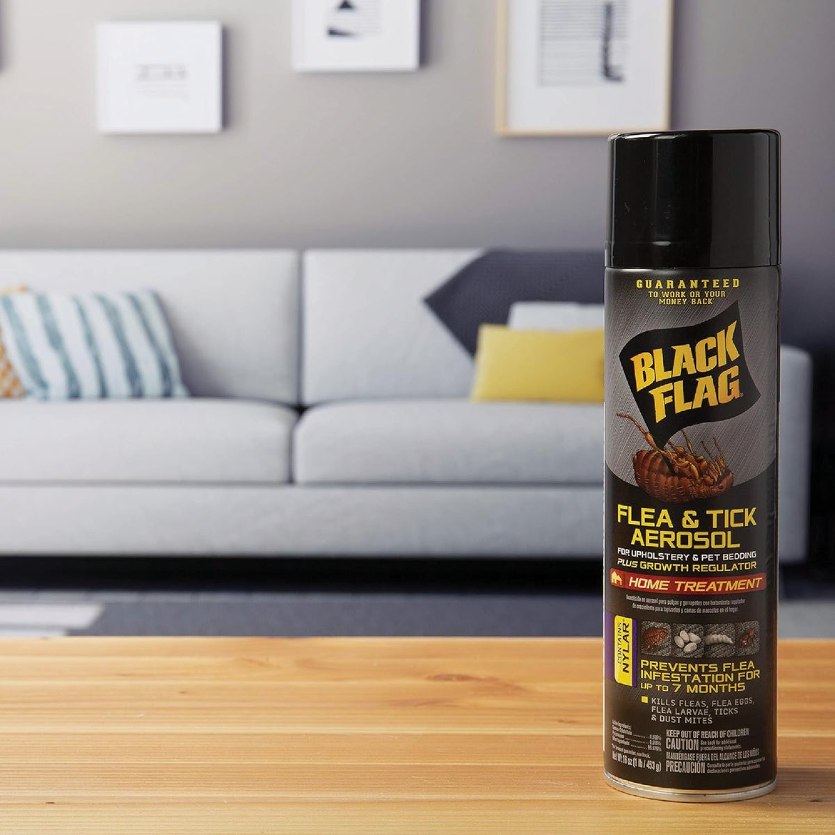 Black Flag 16 Oz. Aerosol Spray Flea & Tick Upholstery & Pet Bedding Home Treatment Plus Growth Regulator Image 5