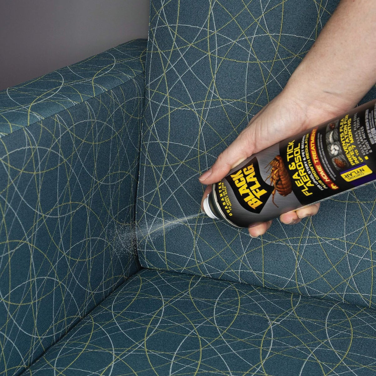 Black Flag 16 Oz. Aerosol Spray Flea & Tick Upholstery & Pet Bedding Home Treatment Plus Growth Regulator Image 2