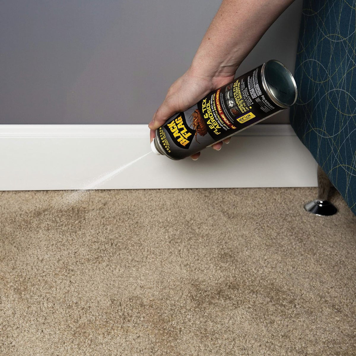 Black Flag 16 Oz. Aerosol Spray Flea & Tick Upholstery & Pet Bedding Home Treatment Plus Growth Regulator Image 3