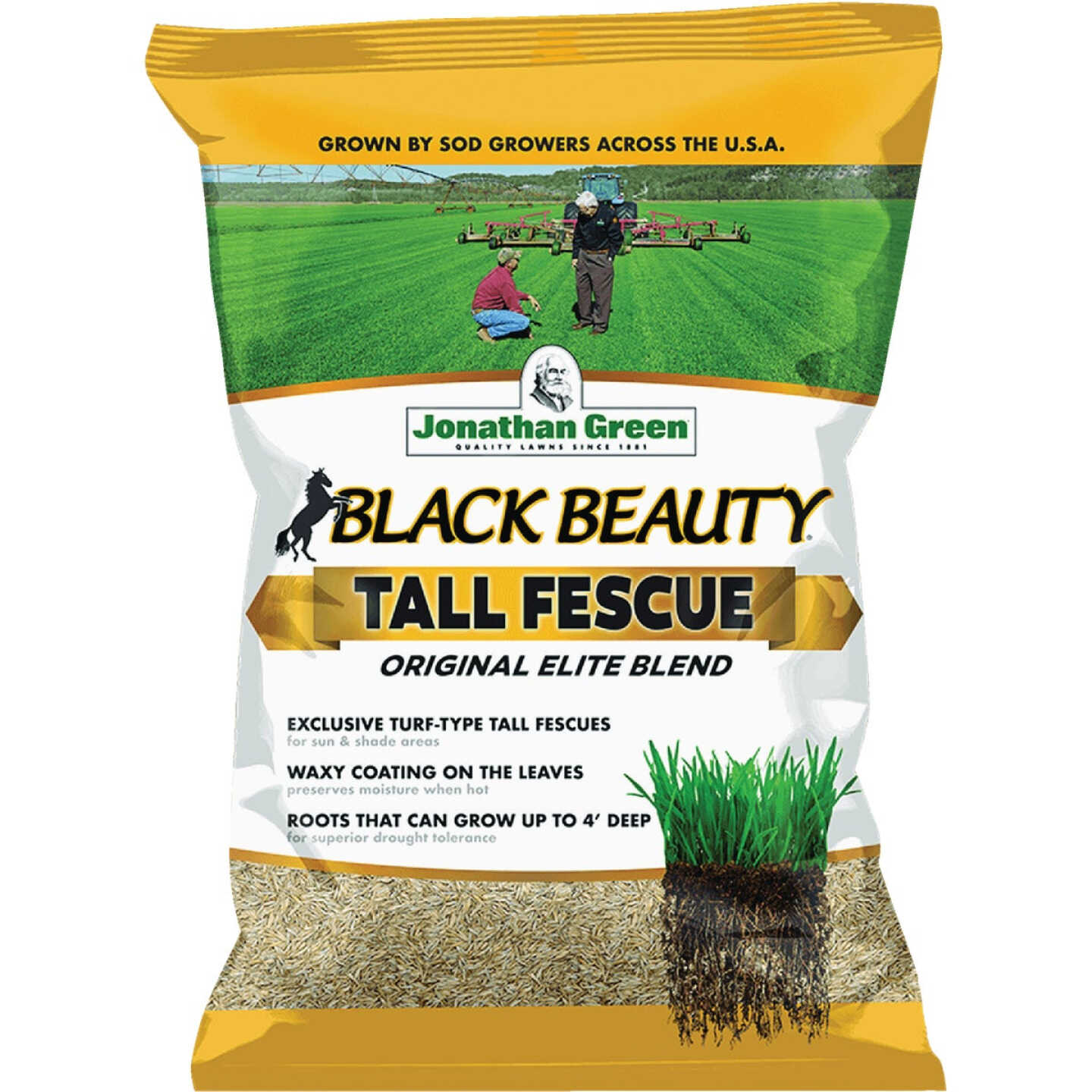Jonathan Green Black Beauty 7 Lb. Tall Fescue Original Elite Blend Grass Seed Image 1
