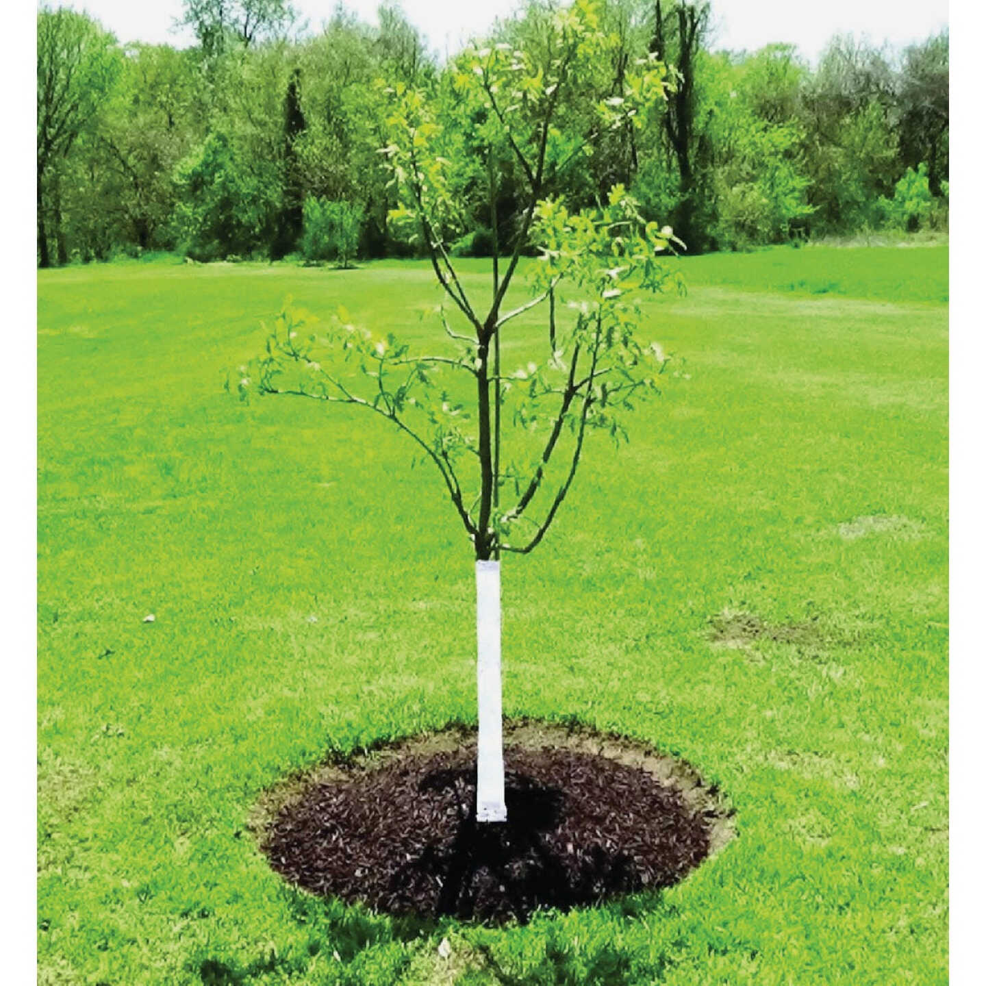 DeWitt White Polypropylene 3 In. x 50 Ft. Tree Wrap Image 3