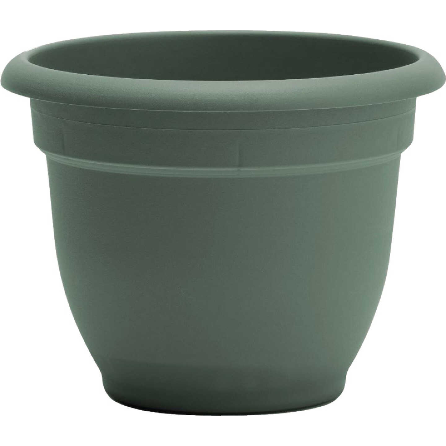 Bloem Ariana 12 In. Basil Planter Image 1