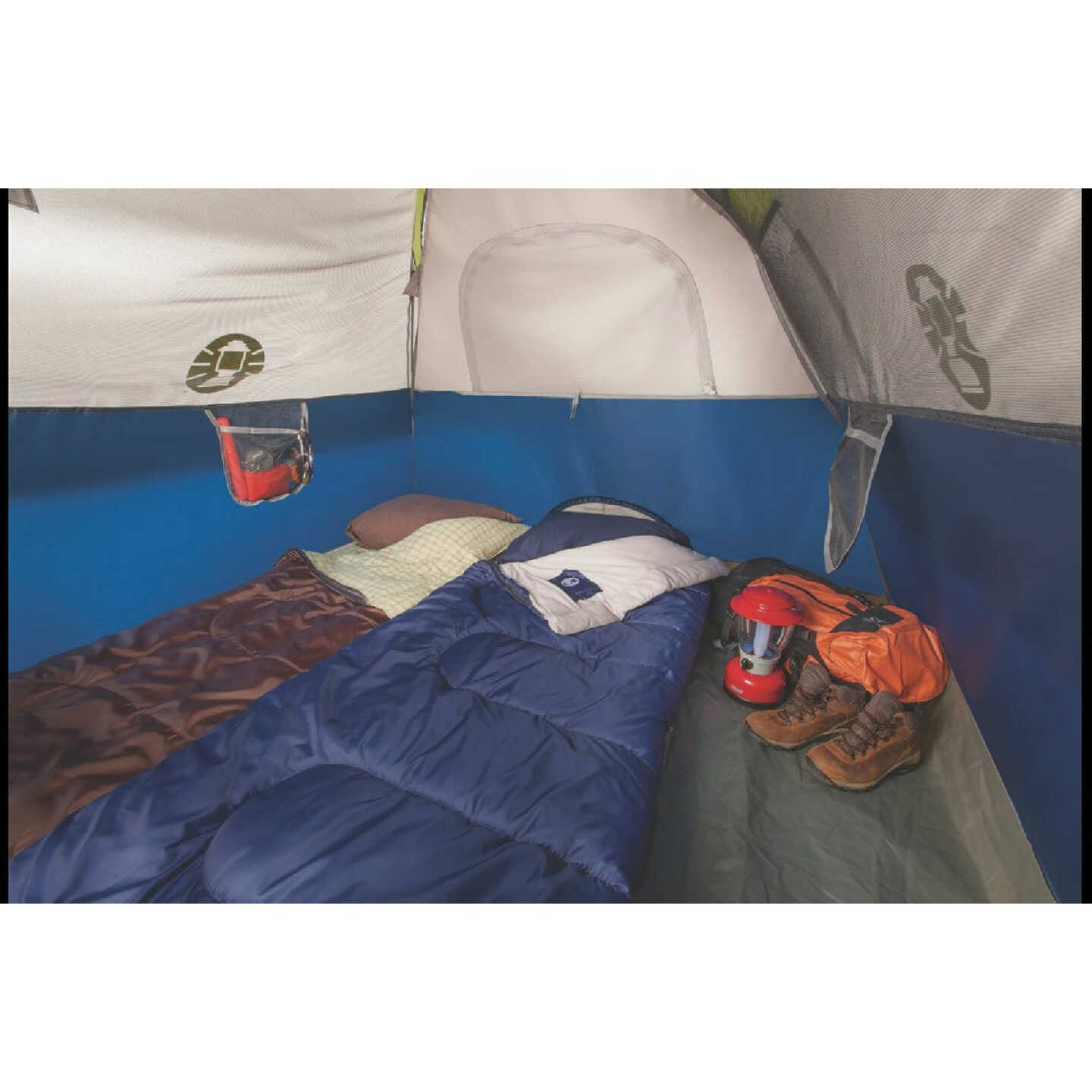 Coleman Sundome 4-Person Dome Tent, Navy Image 2