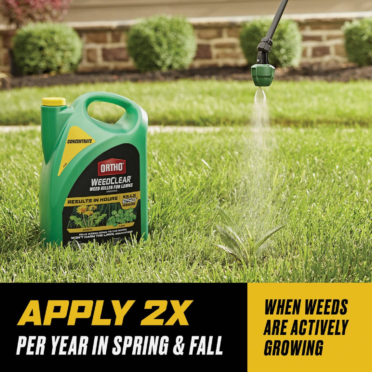 Ortho WeedClear 1 Gal. Concentrate Weed Killer For Lawns Image 5