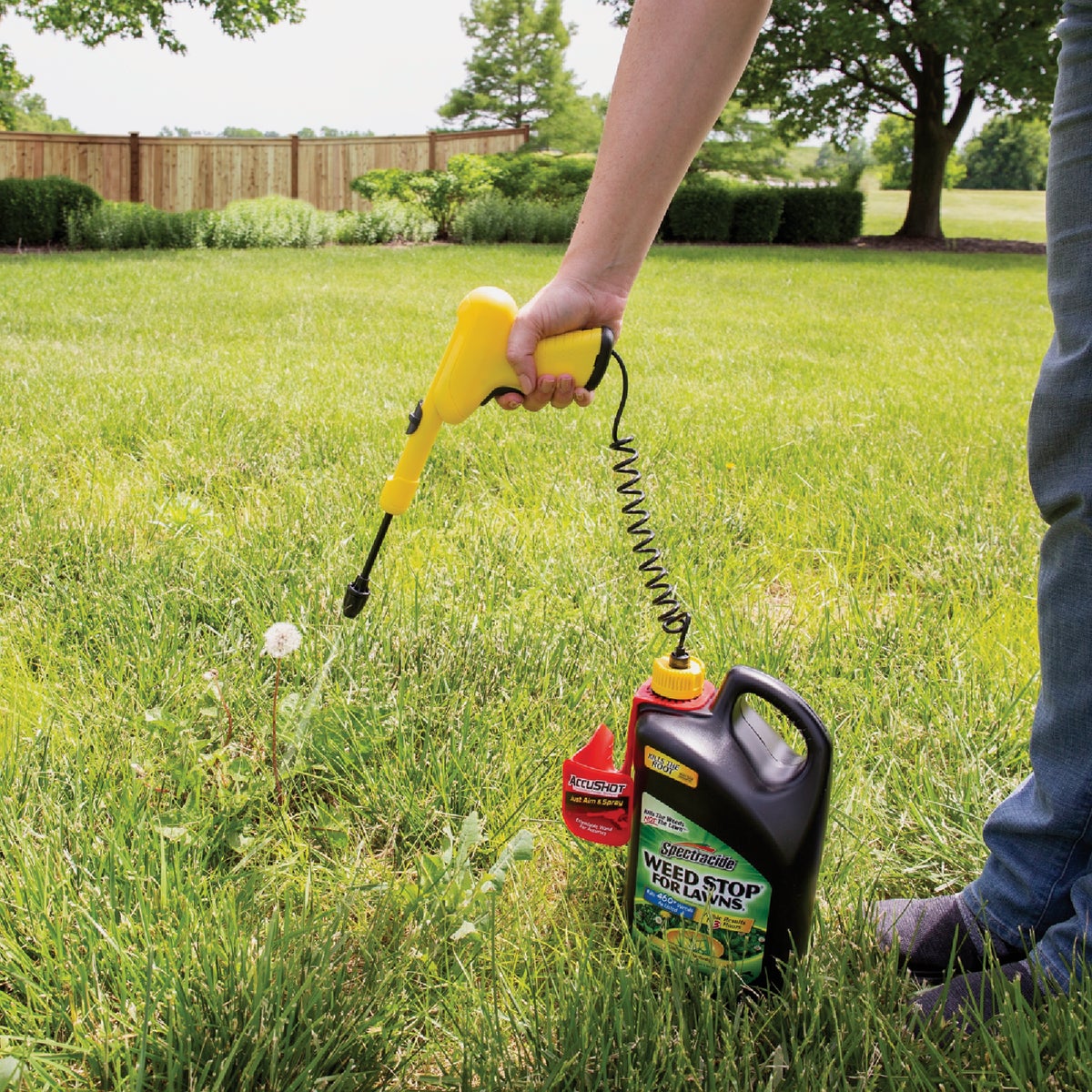 Spectracide Weed Stop for Lawns 1 Gal. Ready To Use AccuShot Sprayer Weed Killer Image 2