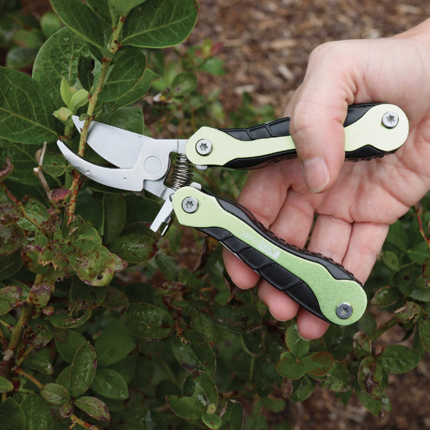AccuSharp Gardener's Multi-Tool Image 2