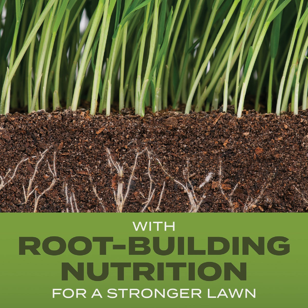 Scotts Turf Builder 2.4 Lb. 200 Sq. Ft. Tall Fescue Mix Grass Seed, Fertilizer, and Soil Improver Combination Image 2