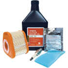 Ariens Razor 875EXi Engine Maintenance Kit Image 1