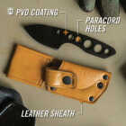 Gerber Dibs 2.5 In. Stainless Steel Full Tang Fixed Knife Image 3