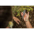 Gerber Dibs 2.5 In. Stainless Steel Full Tang Fixed Knife Image 5