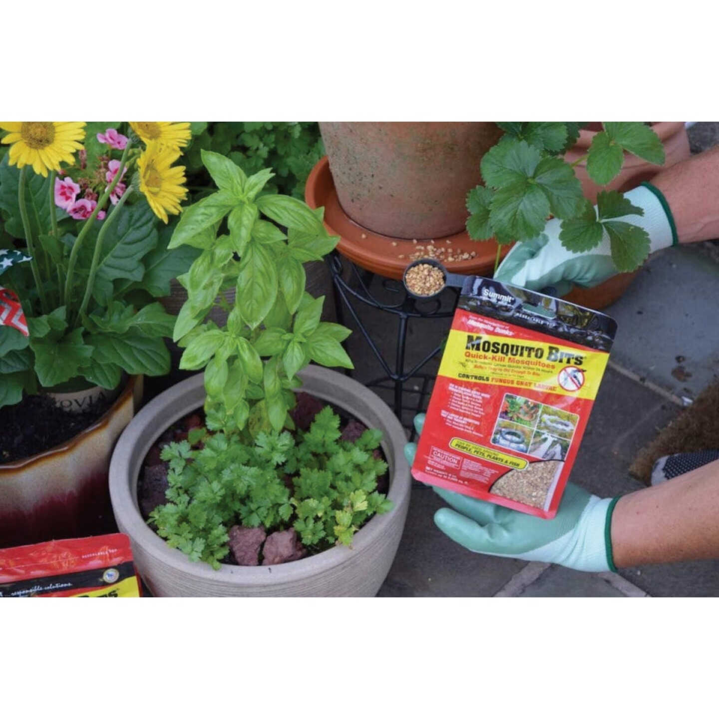 Mosquito Bits 8 Oz. Ready To Use Granules Mosquito Killer Image 2