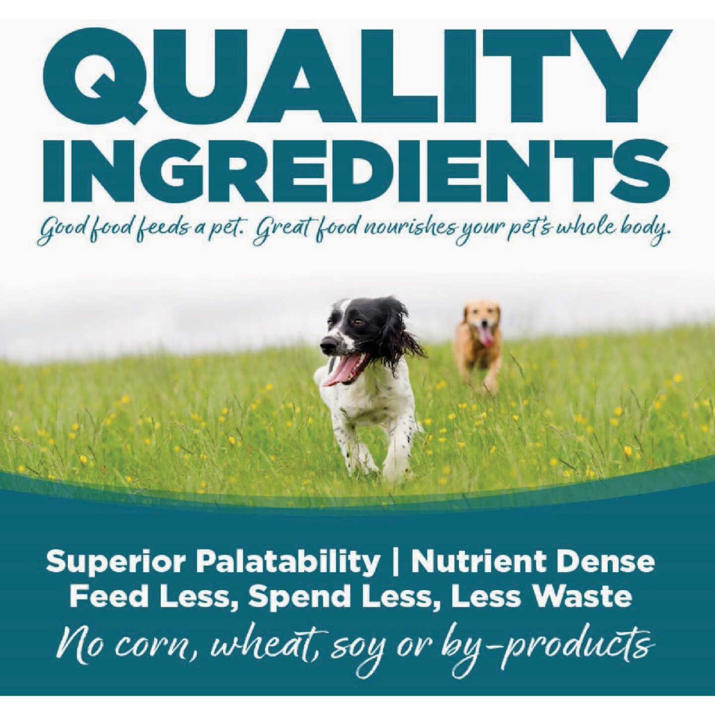 NutriSource 12 Lb. Beef & Rice Recipe Dog Food Image 5