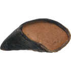Redbarn Peanut Butter Filled Beef Hoof Dog Treat Image 1