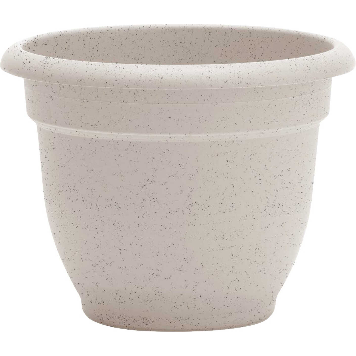 Bloem Ariana 12 In. Vanilla Bean Planter Image 1