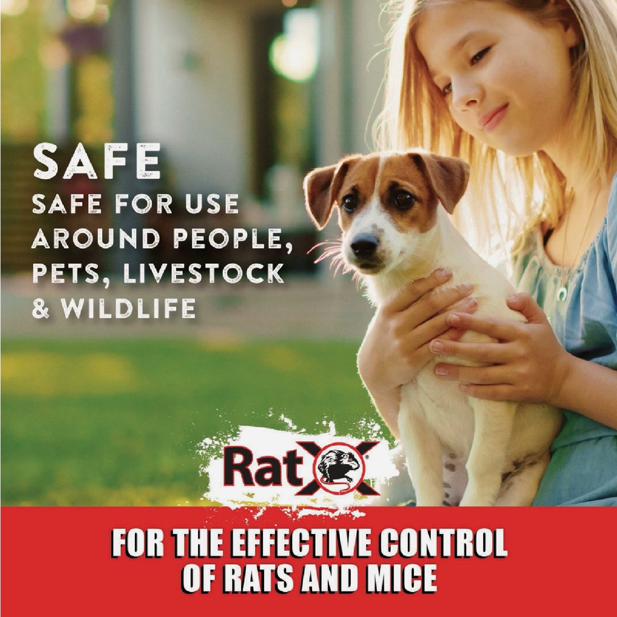 RatX Non-Toxic Ready-to-Use Bait Trays for Mice and Rats (2-Pack) Image 2