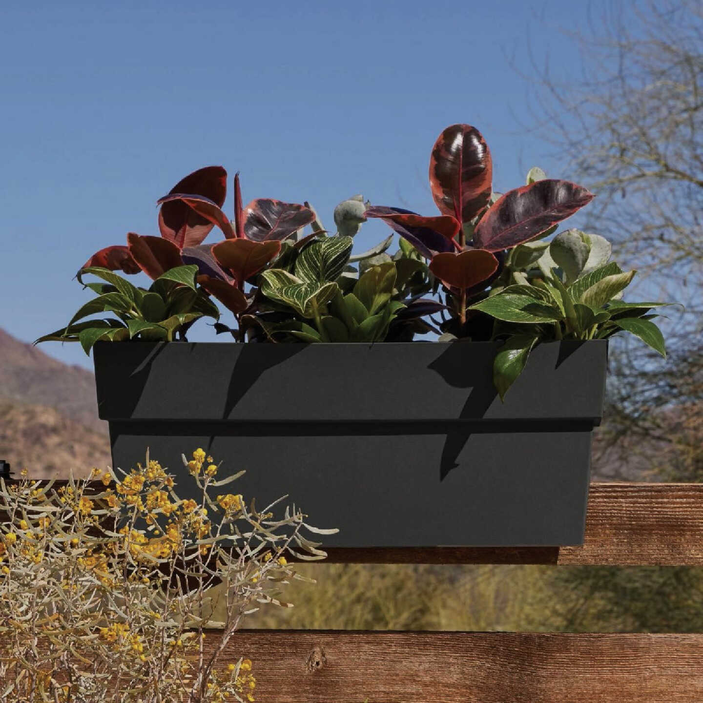 Bloem Finley 24 In. W. Recycled Ocean Plastic Black Rail Planter Image 2