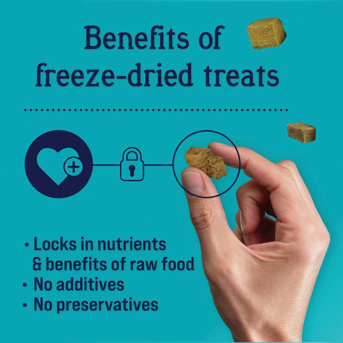 Stewart 3 Oz. Pouch Freeze-Dried Chicken Liver Dog Treat Image 4