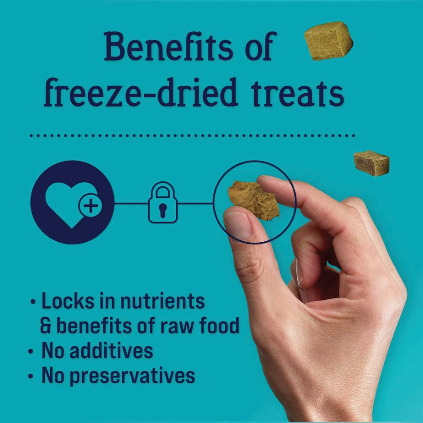 Stewart 3 Oz. Pouch Freeze-Dried Chicken Liver Dog Treat Image 4