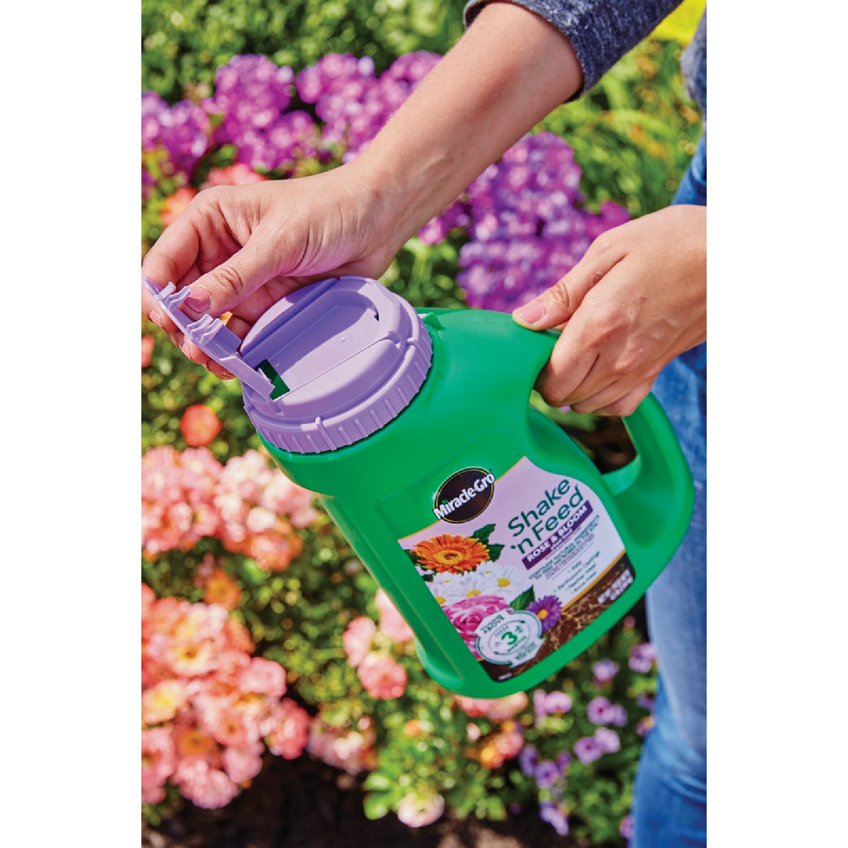 Miracle-Gro Shake 'n Feed 4.5 Lb. Rose & Bloom Plant Food Image 4