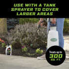 Ortho GroundClear 32 Oz. Concentrate Weed & Grass Killer Image 8