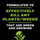 Ortho GroundClear 32 Oz. Concentrate Weed & Grass Killer Image 2