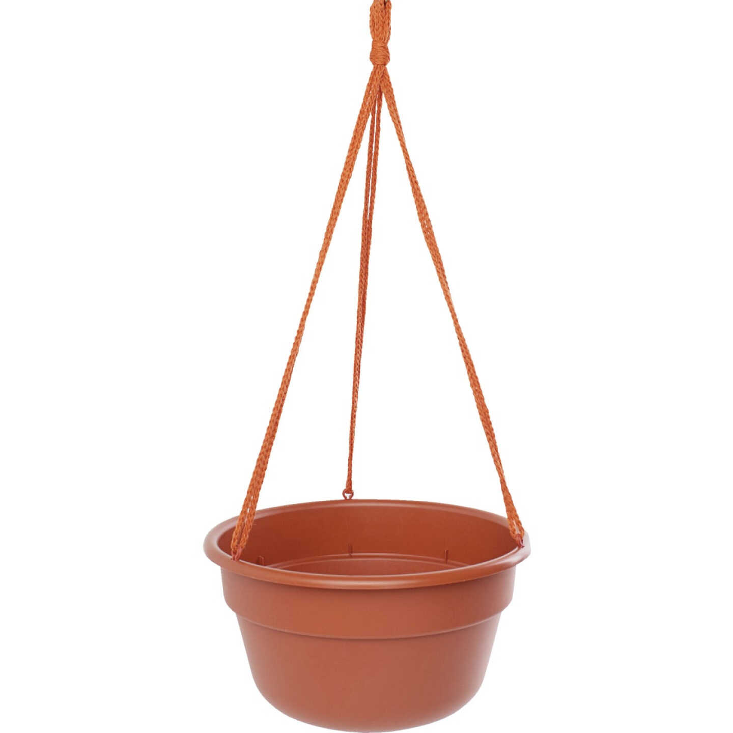 Bloem Dura Cotta 12 In. Plastic Terra Cotta Hanging Plant Basket Image 1