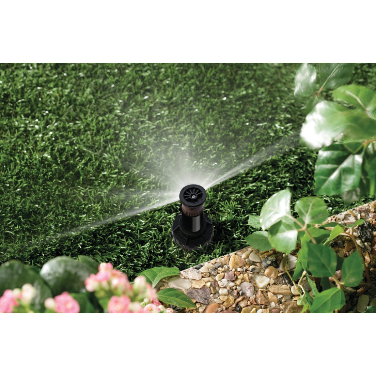 Orbit WaterMaster 2.125 In. Half Circle Plastic Sprinkler Pop-Up Head Image 2