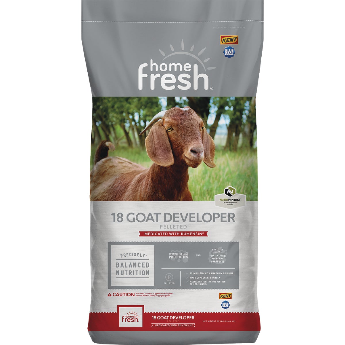 Kent Home Fresh 18 Goat Developer Goat Feed