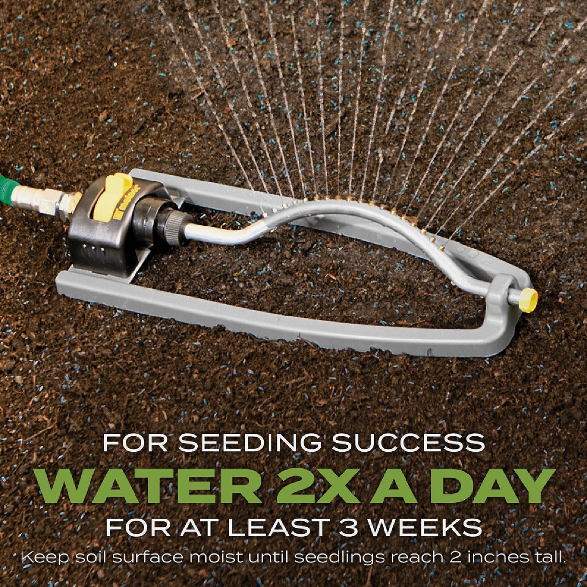 Scotts Turf Builder 5.6 Lb. 465 Sq. Ft. Tall Fescue Mix Grass Seed, Fertilizer, and Soil Improver Combination Image 6